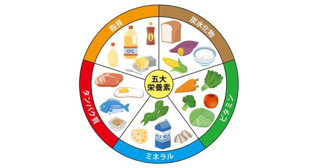 栄養素の種類と働き