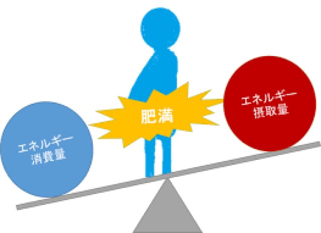 ダイエット時の摂取エネルギー
